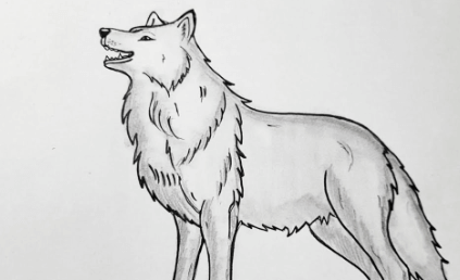 Drawing:Qm60xirsaaa= Wolves