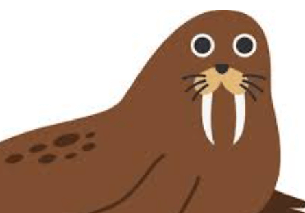 Clipart:Xxcqbtjuuj0= Walrus