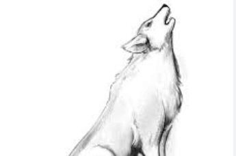 Drawing:Qm60xirsaaa= Wolf