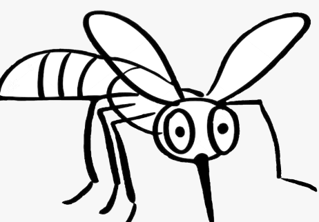 Drawing:Wifbrgz4m0o= Mosquito