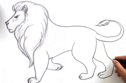 Drawing:Tqg7rsmzrv8= Lion