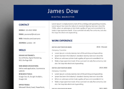 Professional:Dha-38wh4nw= Resume Layout