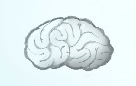 Drawing:254cd14qvza= Brain