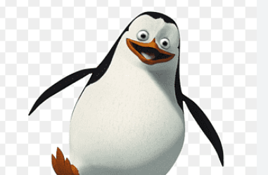 Clipart:Jekijno3fei= Penguins