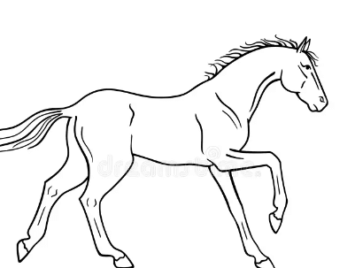 Drawing:Ljd413jlg70= Horse