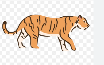 Clipart:Jmjk9np8ik4= Tiger