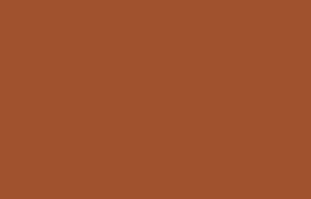 Color:Y8zsrbw984e= Sienna