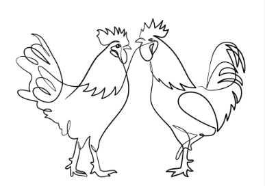 Drawing:Kqu30c7x4xo= Rooster