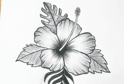 Drawing:Bclxr4vqzz0= Hibiscus