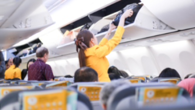 Your Rights As a Passenger: Legal Support Post-Air Travel Incidents