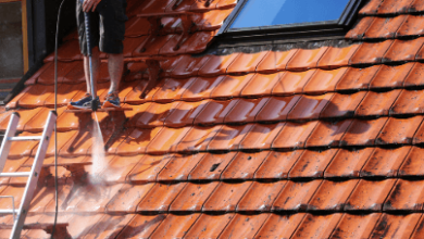 The Ultimate Guide to Roof Cleaning Services by Premier Power Cleaning in Washington County PA