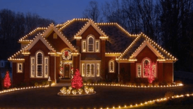 Christmas Light Installation