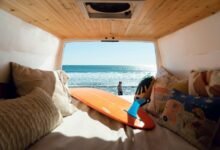 baja alli life experience