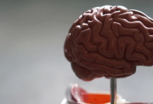 Faster and Less Invasive: The New Blood Test for Alzheimer's