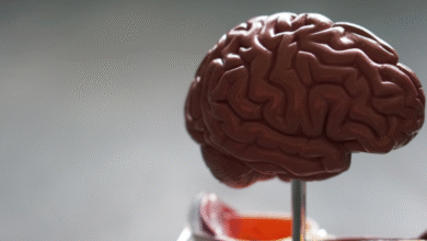 Faster and Less Invasive: The New Blood Test for Alzheimer's