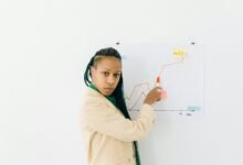 identifier risk review summary