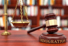 Guardians of Global Dreams The Essential Role of Immigration Lawyers