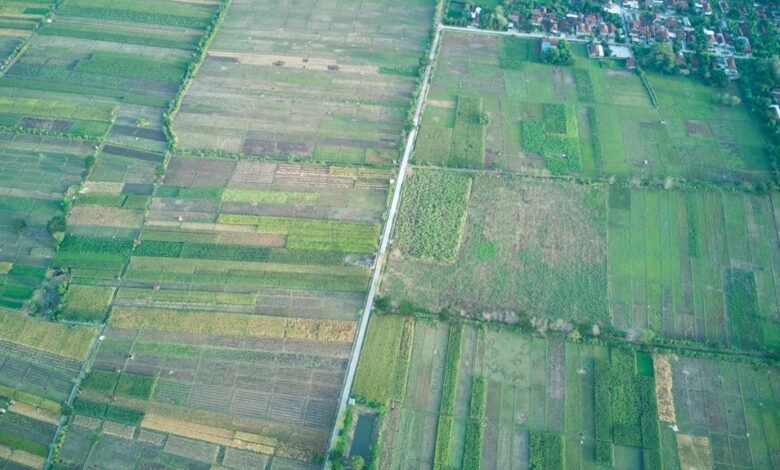 detailed analysis of dk380c4 0 h8