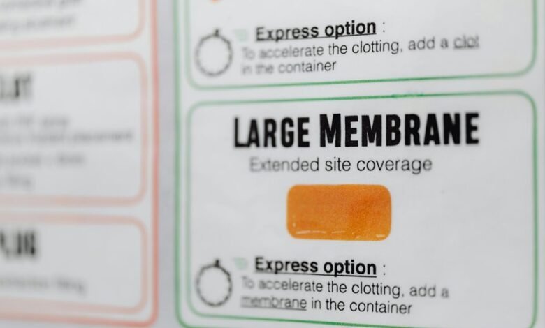 etydbruk detailed information overview