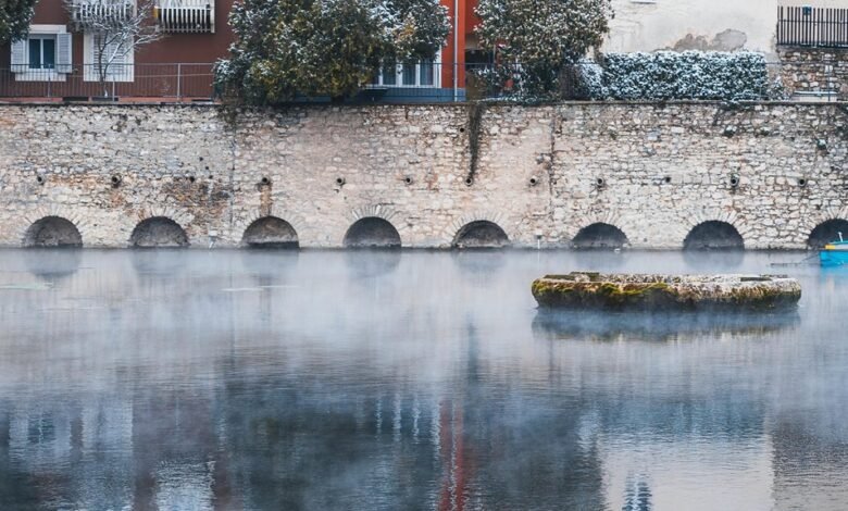 krylovalster unique characteristics highlighted