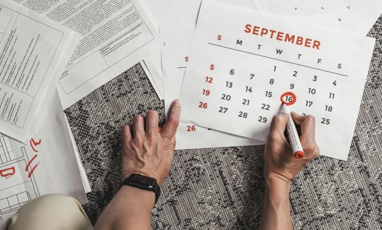 primiotranit review analysis