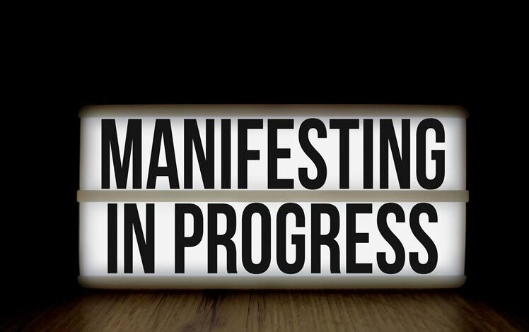 dynamic vision for success