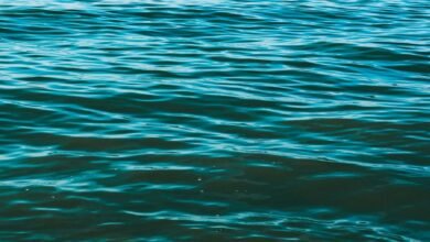 Why Choosing the Right Canadian Water Company Matters for Water Quality