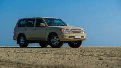 stable digital system reliability