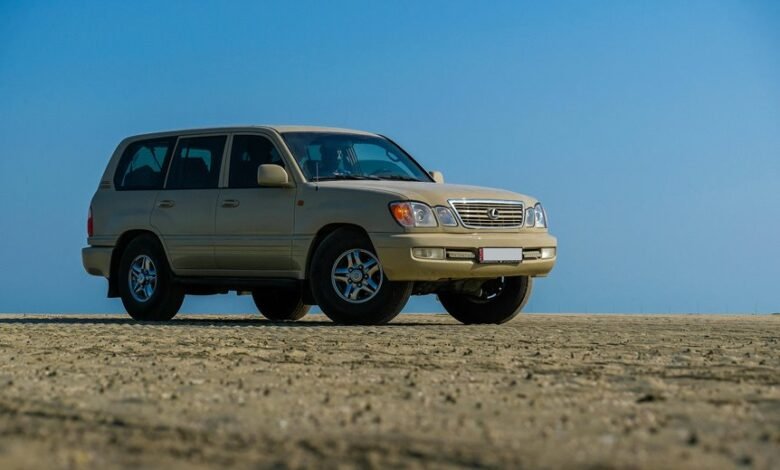 stable online system 931228051