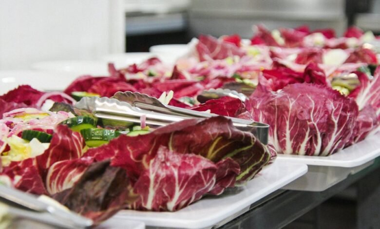 nutrition digestion queries portal complexity